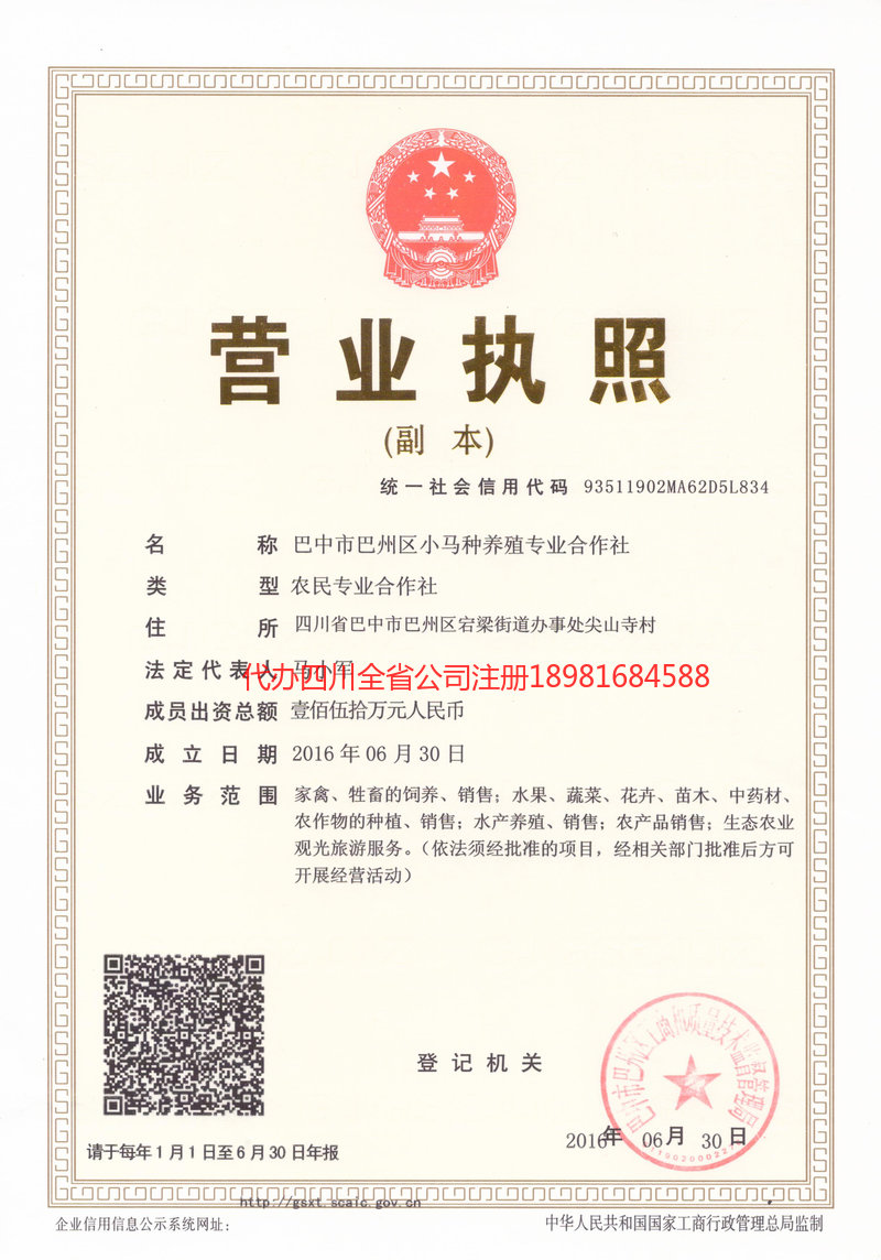 六安六安小马种养殖专业合作社